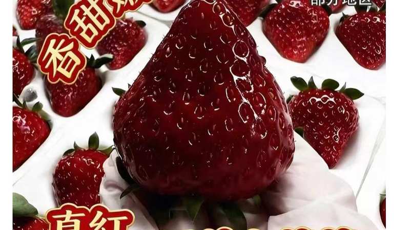  蓝莓自由真的来了吗，透视水果市场扩产的深层逻辑 新闻 蓝莓自由真的来了吗，透视水果市场扩产的深层逻辑 新闻 蓝莓自由真的来了吗，透视水果市场扩产的深层逻辑 新闻 蓝莓自由真的来了吗，透视水果市场扩产的深层逻辑 新闻