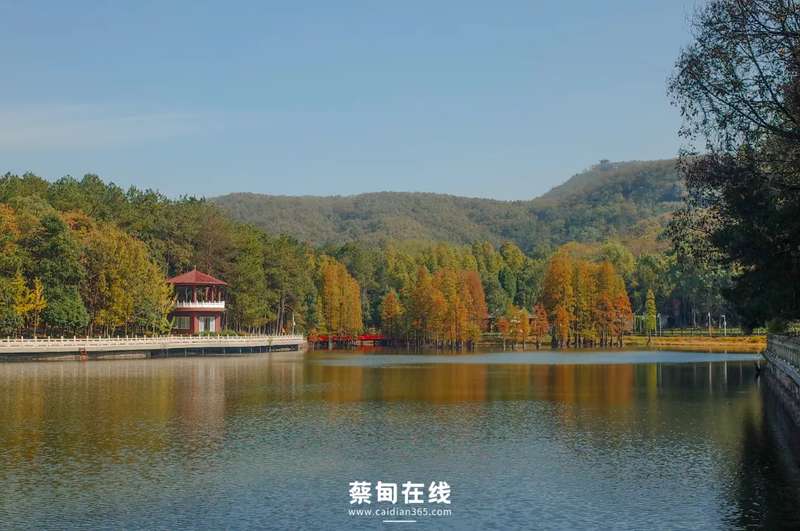  硬核拆解：2026五一蔡甸5日假期生存指南 文化旅游 硬核拆解：2026五一蔡甸5日假期生存指南 文化旅游 硬核拆解：2026五一蔡甸5日假期生存指南 文化旅游