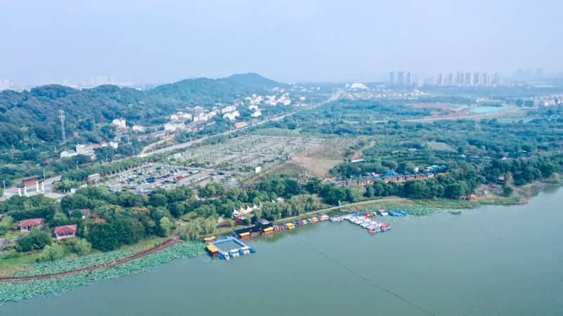  硬核拆解：2026五一蔡甸5日假期生存指南 文化旅游 硬核拆解：2026五一蔡甸5日假期生存指南 文化旅游 硬核拆解：2026五一蔡甸5日假期生存指南 文化旅游