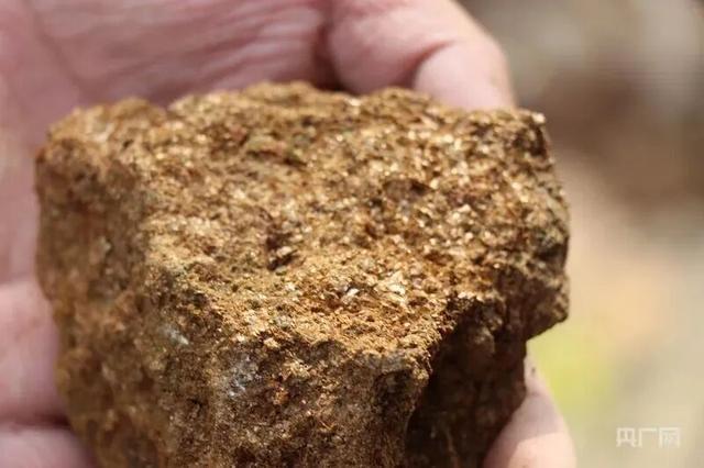  从问荆草到金矿：8岁男孩如何用植物学知识揭开地质勘查新篇章 新闻 从问荆草到金矿：8岁男孩如何用植物学知识揭开地质勘查新篇章 新闻 从问荆草到金矿：8岁男孩如何用植物学知识揭开地质勘查新篇章 新闻 从问荆草到金矿：8岁男孩如何用植物学知识揭开地质勘查新篇章 新闻