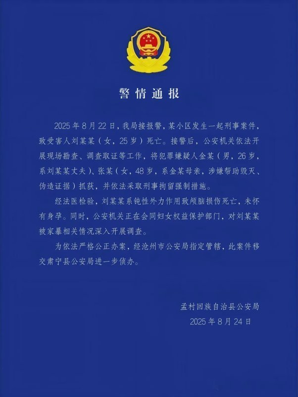 河北沧州家暴致死案：从案发到死刑执行的法律技术深度复盘 新闻