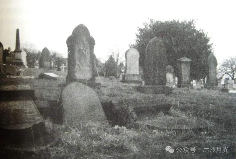  北洋水师跨洋接舰全记录：从纽卡斯尔船坞到黄海的百年海军梦 新闻