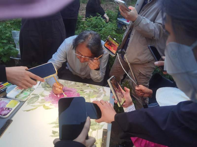  没骨牡丹写生技法深度解析：贾广健菏泽研学十年的教学革新 书画藏品