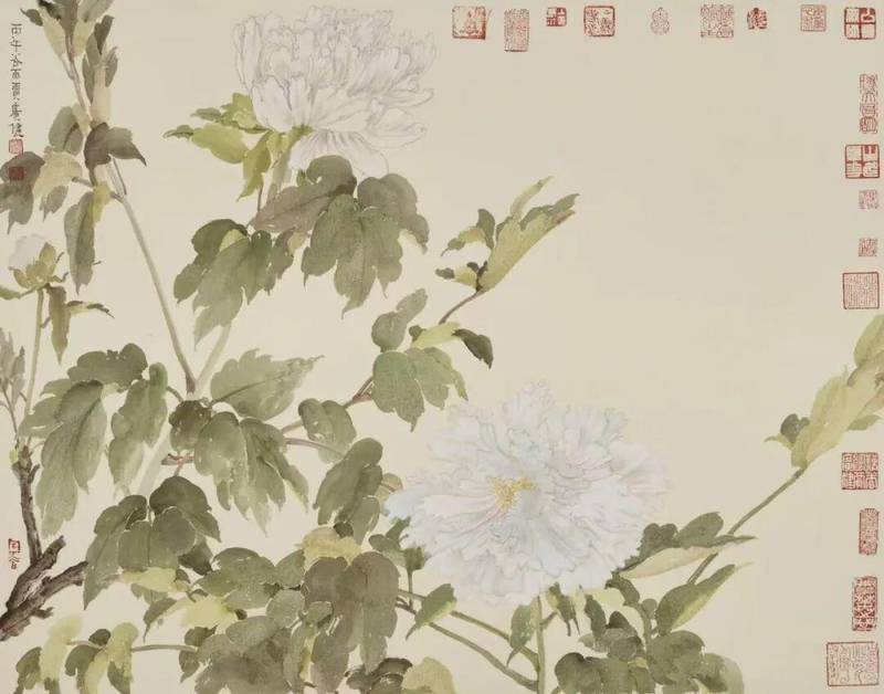  没骨牡丹写生技法深度解析：贾广健菏泽研学十年的教学革新 书画藏品