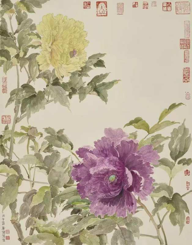  没骨牡丹写生技法深度解析：贾广健菏泽研学十年的教学革新 书画藏品