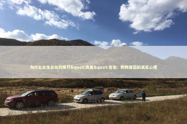 为什么女生总在找那只"完美"包包：购物背后的真实心理 时尚用品