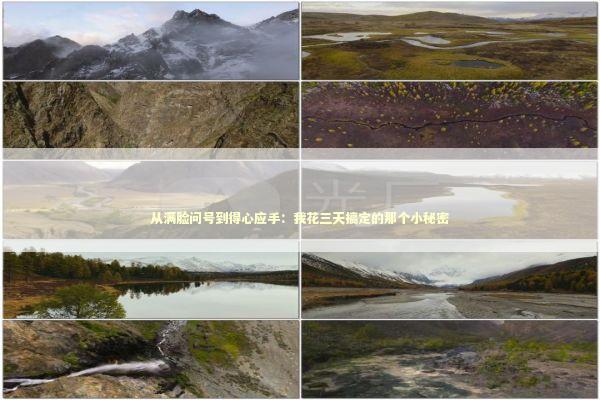 从满脸问号到得心应手：我花三天搞定的那个小秘密 IT技术