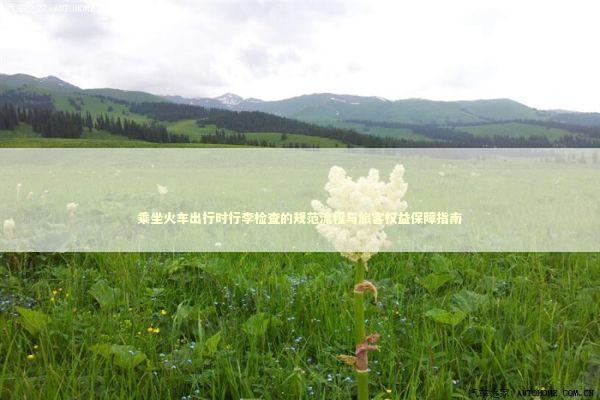 乘坐火车出行时行李检查的规范流程与旅客权益保障指南